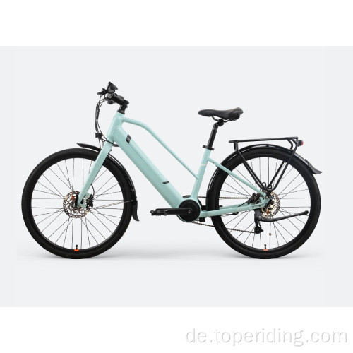 Customized Electric Hybrid Bike LC02